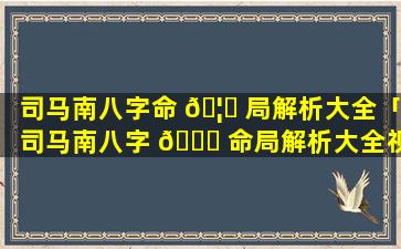 司马南八字命 🦁 局解析大全「司马南八字 💐 命局解析大全视频」